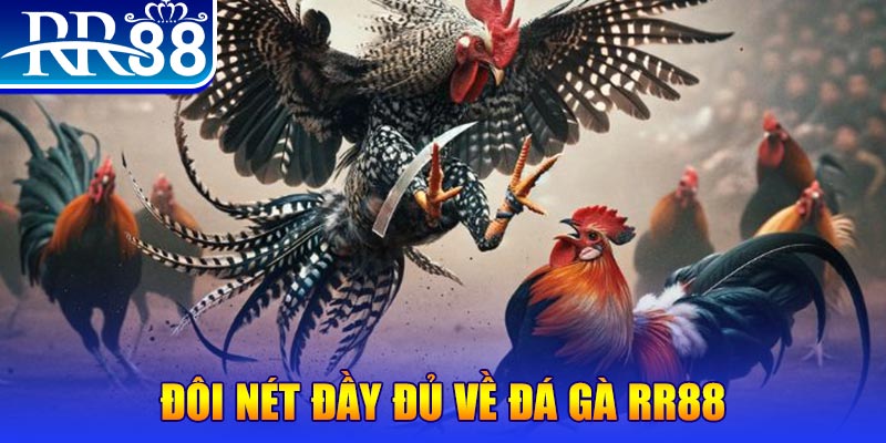 good88 gà chọi hoà phong