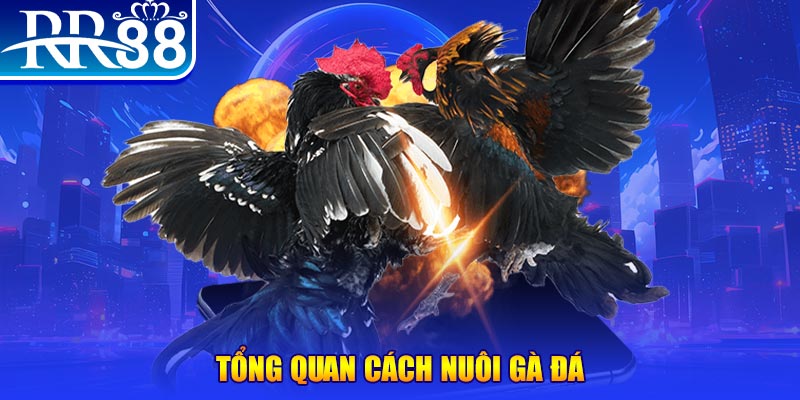 good88 xổ số thứ ba