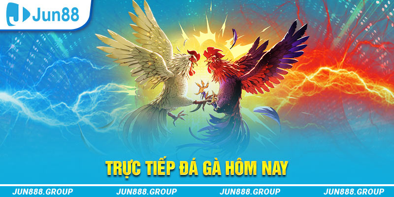 good88 trực tiếp đá gà thomo