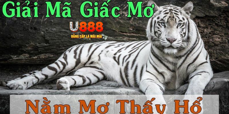 good88 Bài Poker Joker