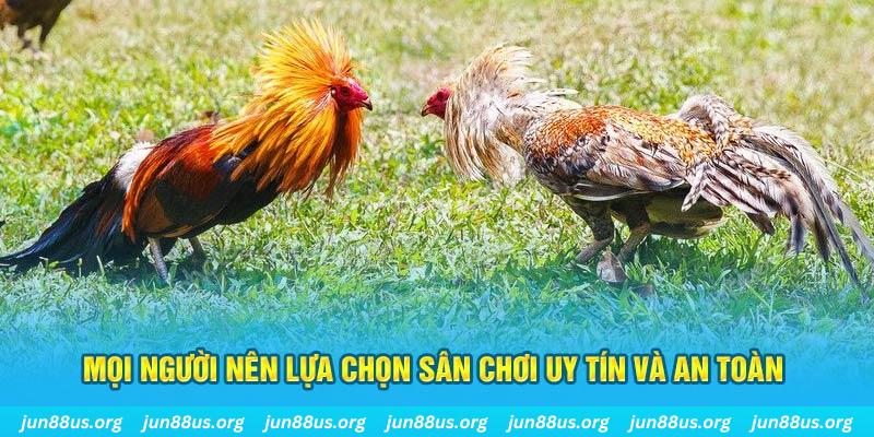 good88 Tài Xỉu