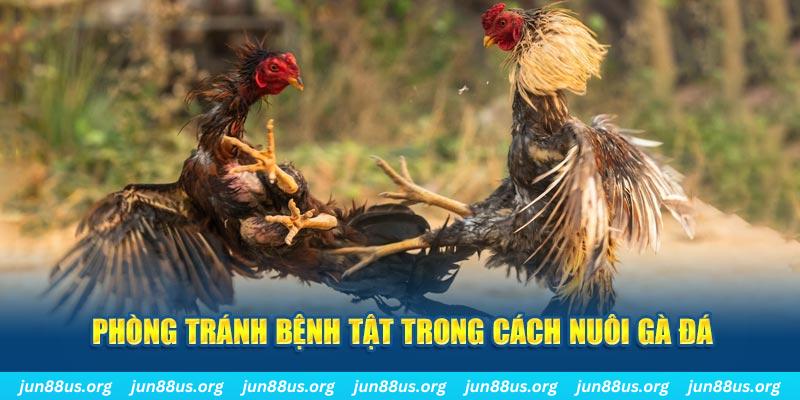good88 natural” trong baccarat nghĩa là gì？